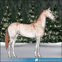 Horse Color:Red Dun Onyx Sabino Brindle 