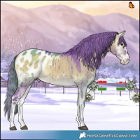 Horse Color:Watercolor Bay Onyx Sabino Appaloosa Brindle