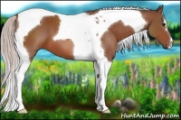 Horse Color:Silver Bay Tobiano