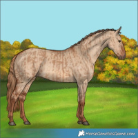 Horse Color:Red Dun  and Red Dun 