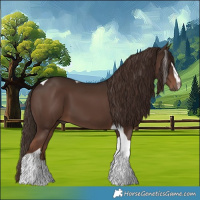 Horse Color:Liver Chestnut Sabino Tobiano 