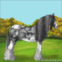 Horse Color:White Spotted Black Splash Tobiano Frame Varnish 