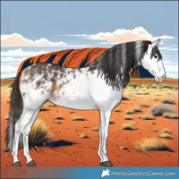 Horse Color:White Spotted Buckskin 