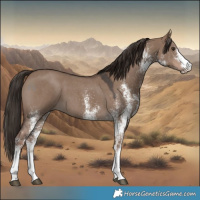 Horse Color:White Spotted Liver Red Dun 