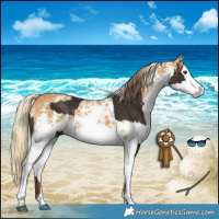 Horse Color:Liver Chestnut  and White Spotted Palomino 