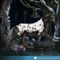 Horse Color:Bay Sabino 