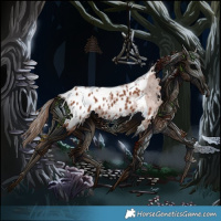 Horse Color:Chestnut Tobiano Appaloosa 