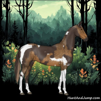 Horse Color:Chocolate Palomino Tobiano  and Liver Chestnut Tobiano 