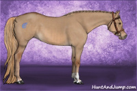 Horse Color:Red Dun  and Red Dun 