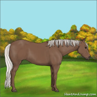 Horse Color:Silver Black 