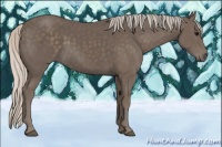 Horse Color:Silver Black 