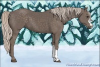 Horse Color:Silver Black 