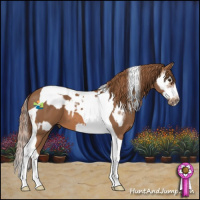 Horse Color:Chestnut Splash Tobiano Frame  and Chestnut Splash Tobiano 