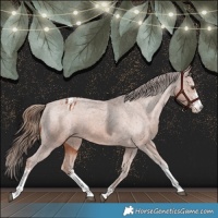 Horse Color:Chestnut Sabino Varnish 