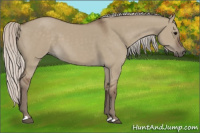 Horse Color:Silver Grullo 