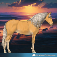 Horse Color:Palomino