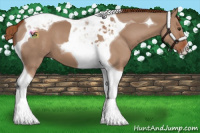 Horse Color:Red Dun Tobiano 