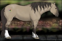 Horse Color:Smoky Grullo 