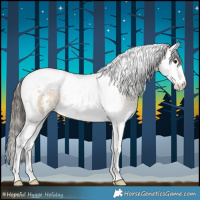 Horse Color:Buckskin Sabino Splash Tobiano Rabicano