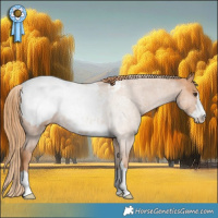 Horse Color:Chestnut Snowcap Rabicano 