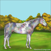 Horse Color:Nacre Silver Black Chinchilla Sabino Splash Tobiano Rabicano