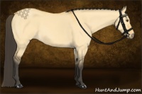 Horse Color:Buckskin Dun 