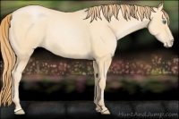 Horse Color:Smoky Black Pearl 