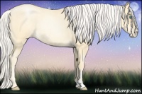 Horse Color:Silver Smoky Blue Roan Pearl Rabicano 