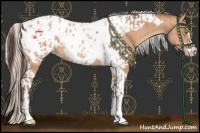 Horse Color:Amber Champagne Sabino Tobiano Appaloosa  and Silver Amber Champagne Sabino Tobiano Appaloosa 