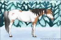 Horse Color:Bay Tobiano Frame 