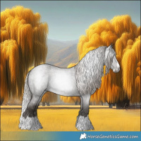 Horse Color:Gray Silver Blue Roan Splash 