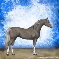 Horse Color:Silver Black 