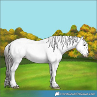 Horse Color:Smoky Blue Onyx Frame Appaloosa 