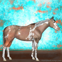 Horse Color:Classic Champagne Splash Tobiano 