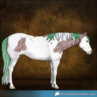 Horse Color:Watercolor Amber Champagne Ice Splash Tobiano Rabicano