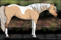 Horse Color:Silver Bay Dun Tobiano 