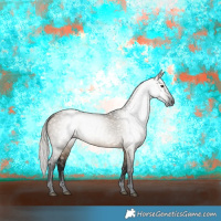 Horse Color:Gray Silver Brown Dun 