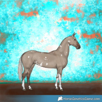 Horse Color:White Spotted Silver Grullo Tobiano 