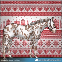 Horse Color:Red Roan Appaloosa 