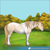 Horse Color:Smoky Black Pearl Tobiano 