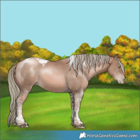 Horse Color:Liver Chestnut Pearl Mushroom Tobiano