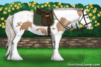 Horse Color:Liver Chestnut Pearl Splash Tobiano 