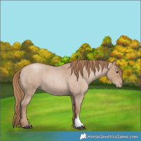 Horse Color:Blue Roan Pearl 