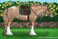 Horse Color:Liver Chestnut Pearl Tobiano