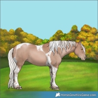 Horse Color:Silver Black Pearl Mushroom Tobiano 