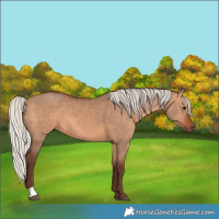 Horse Color:Silver Brown Dun