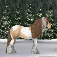 Horse Color:Buckskin Pearl Tobiano