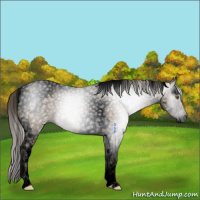 Horse Color:Gray Void Silver Grullo Splash Tobiano 