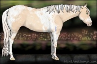 Horse Color:Silver Amber Champagne Dun Tobiano Rabicano 