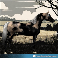 Horse Color:Void Silver Black Pearl Sabino Splash Tobiano 